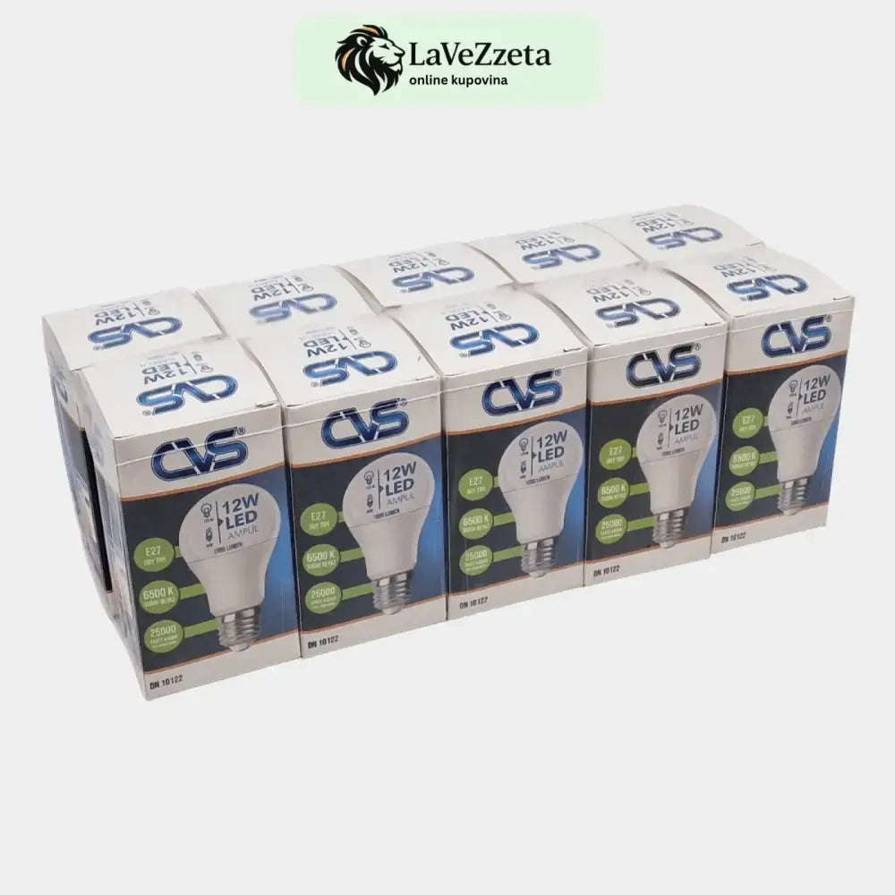 SET 10 KOM-LED SIJALICA 12 W