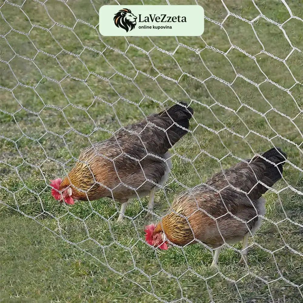 ŽICA ZA KOKOŠINJAC 25x1M